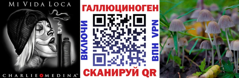 Псилоцибиновые грибы ЛСД  дарнет шоп  hydra tor  Рыльск 